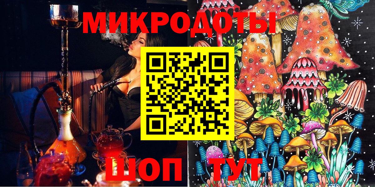 Галлюциногенные грибы Psilocybe Ухта