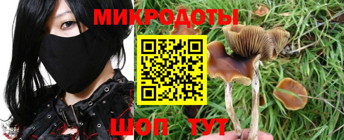 Ухта  Псилоцибиновые грибы MAGIC MUSHROOMS  Вход с VPN  наркотики  Псилоцибиновые грибы Cubensis 