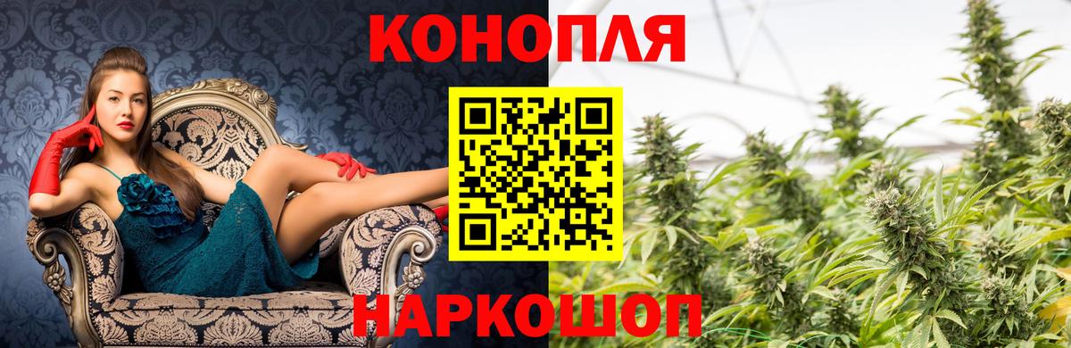 Бошки марихуана сатива Ухта